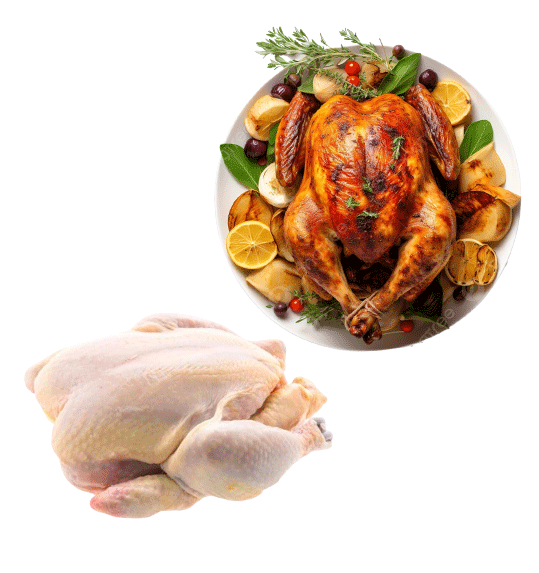 poulet-1